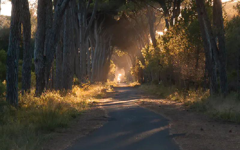 Hidden Tuscany