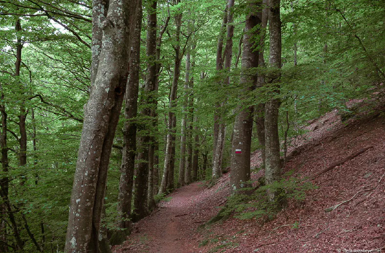 CAI path at acquerino