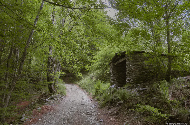 apuan alps near mount freddone