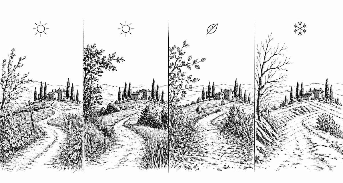 Best Time to Visit Tuscany for Hiking: A Month-by-Month Guide