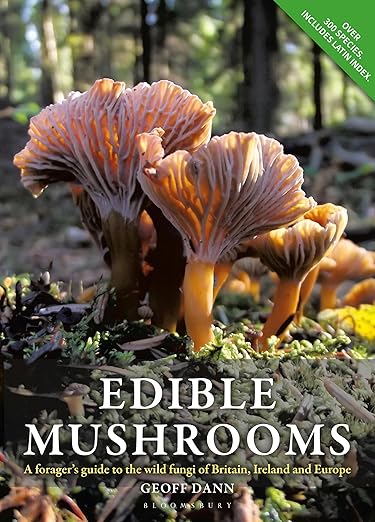 The One Mushroom Book I Still Recommend After Years of Foraging