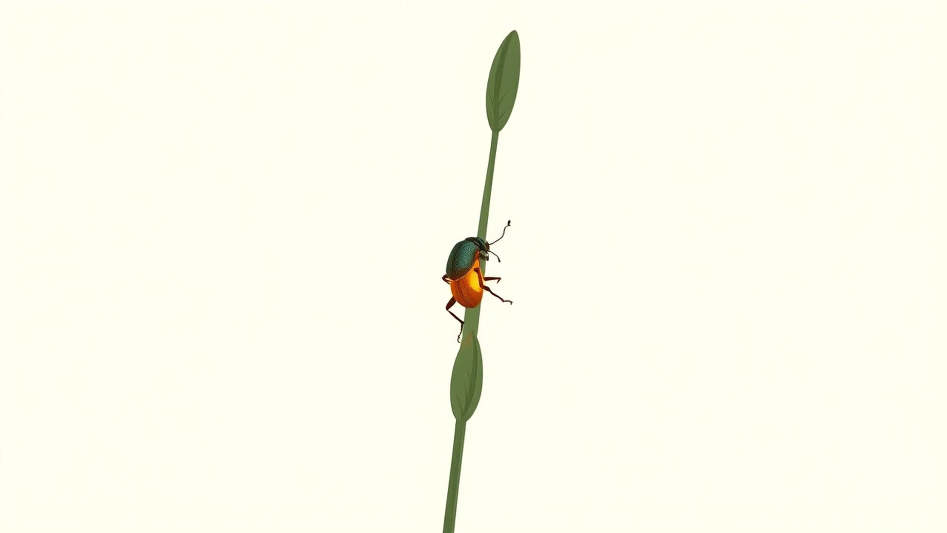 Fireflies in Tuscany: Where and When