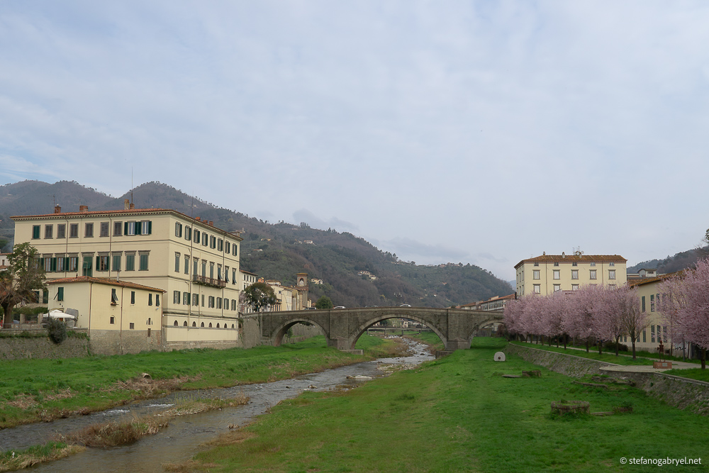 Hiking Near Pescia: Apennines, Lakes & Forest Trails