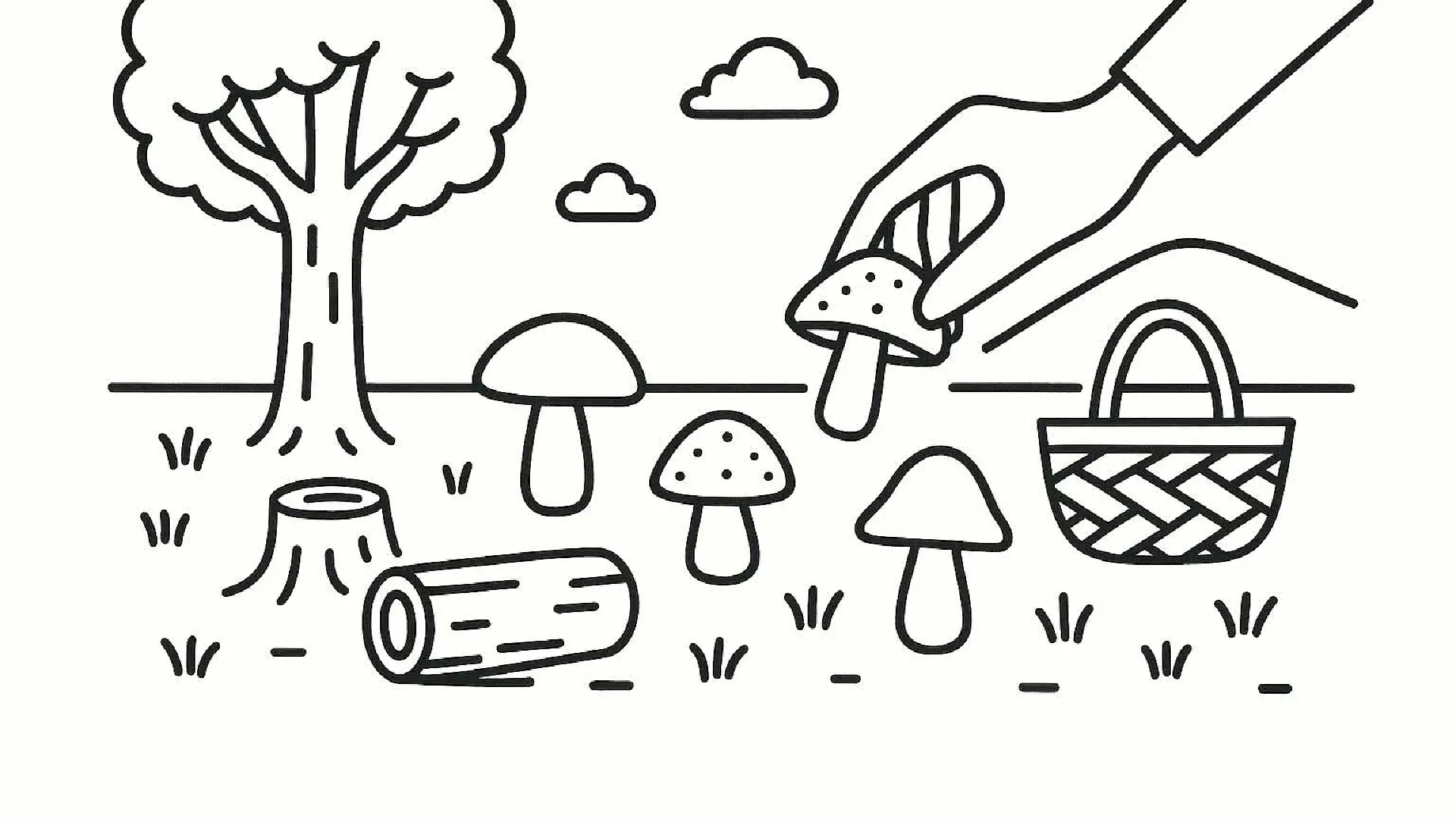 Mushrooms of Acquerino: A Seasonal Forager's Guide