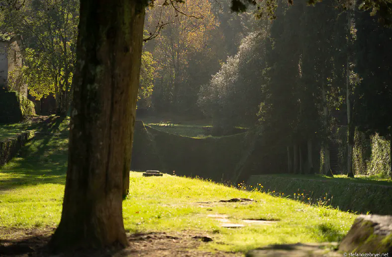 nottoliniacqueduct parole d oro