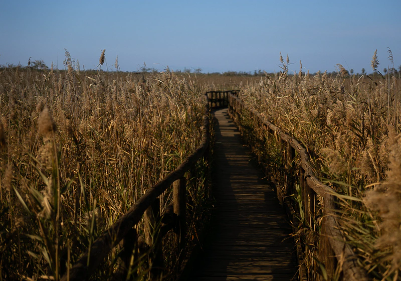 Oasi Lipu Massaciuccoli1