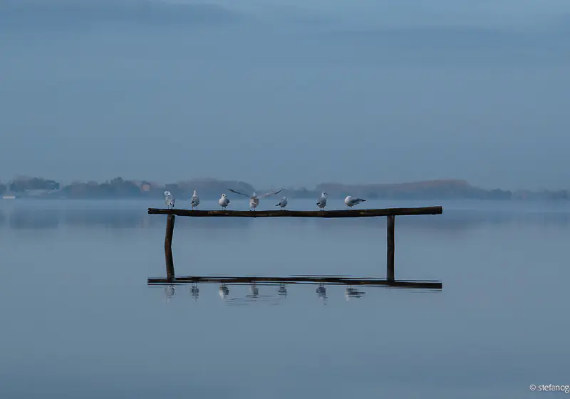 Oasi Lipu Massaciuccoli4