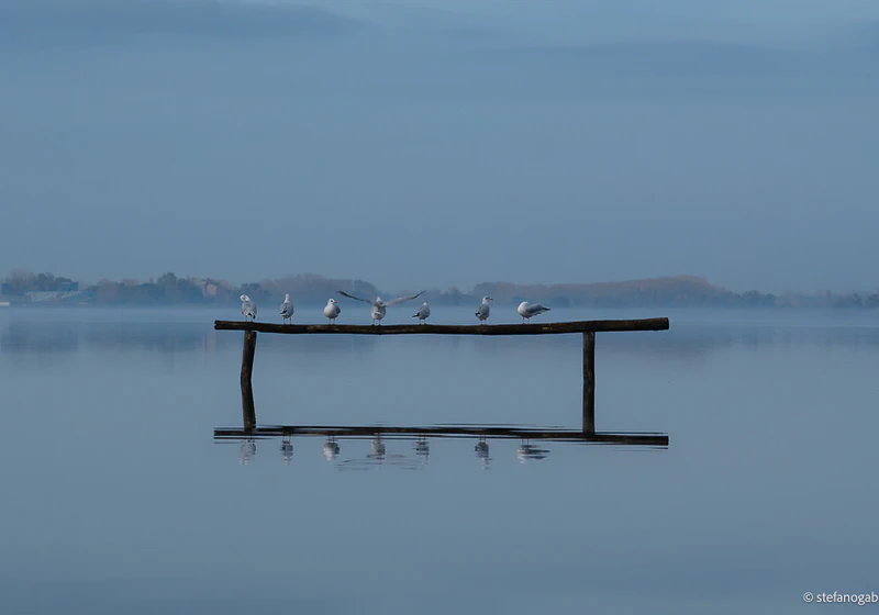 Oasi Lipu Massaciuccoli4
