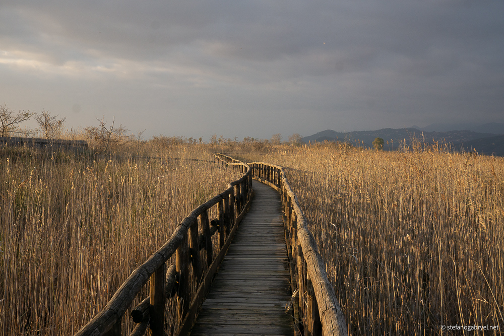 Oasi LIPU Massaciuccoli: Not Just for Birders