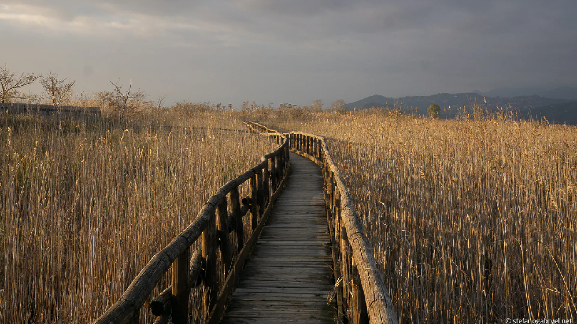 Oasi LIPU Massaciuccoli: non solo per birdwatcher