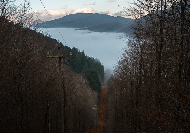 Acquerino Above the Clouds