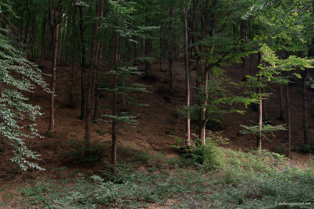 Trekking Near Florence: Wild Trails Beyond the City