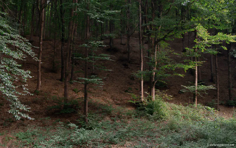 Hiking