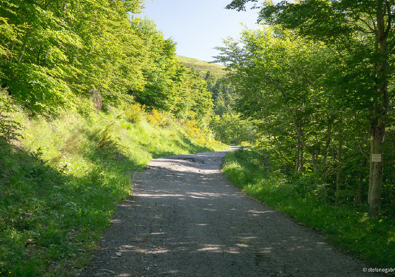 Apennine Trailhead Morning Light