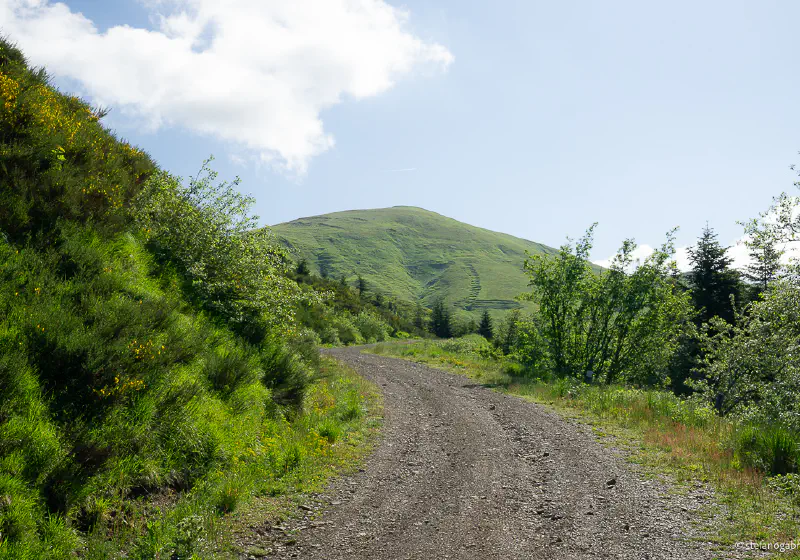 Path to the Ridge