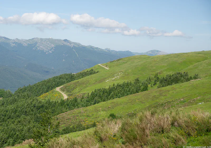 Open Trail Above the Tree Line