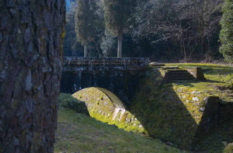 acquedotto nottolini parole d oro