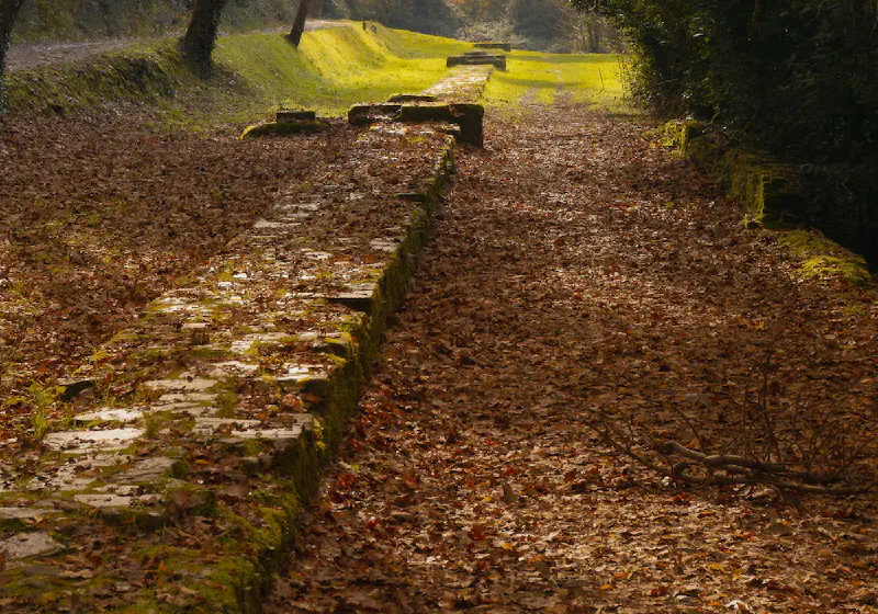 Acquedotto Nottolini Private Tour: Neoclassical Engineering & Sacred Springs