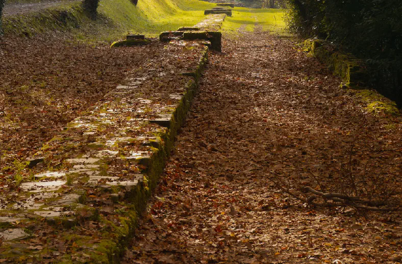 acquedotto nottolini woods in autumn