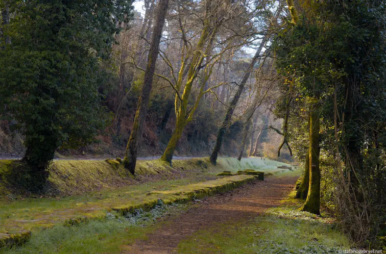 acquedotto nottolini woods