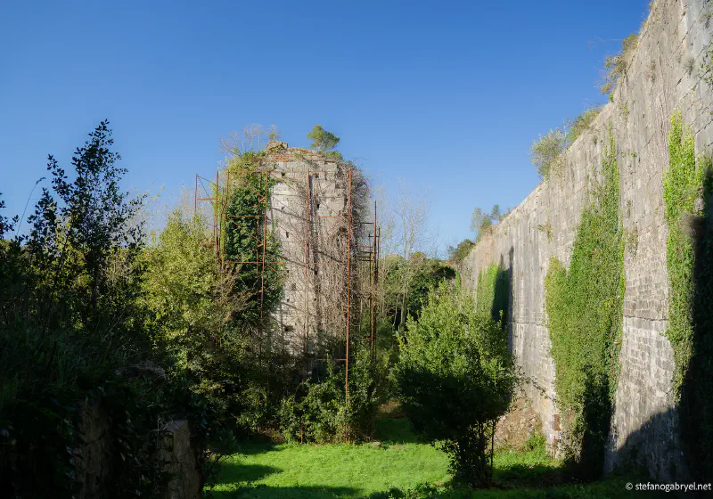 Rocca di San Paolino Private Tour: Medieval History & Laurel Forest