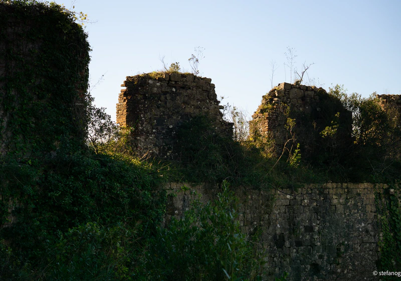 Rocca di San Paolino Private Tour: Medieval History & Laurel Forest