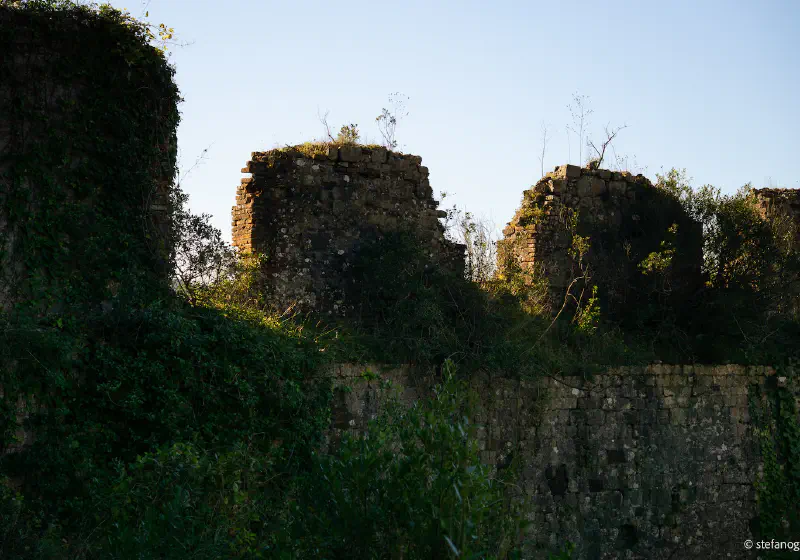 Rocca di San Paolino Private Tour: Medieval History & Laurel Forest