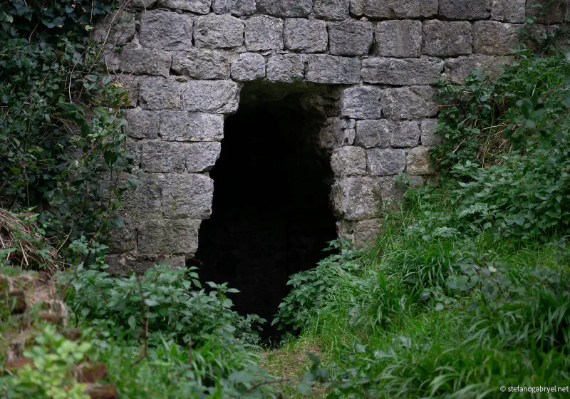 Rocca di San Paolino Private Tour: Medieval History & Laurel Forest