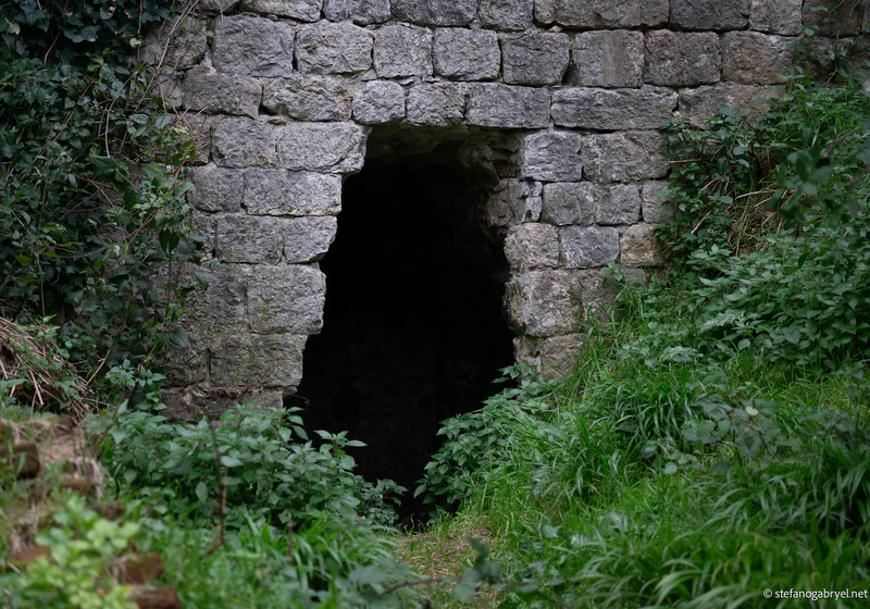 Rocca di San Paolino Private Tour: Medieval History & Laurel Forest