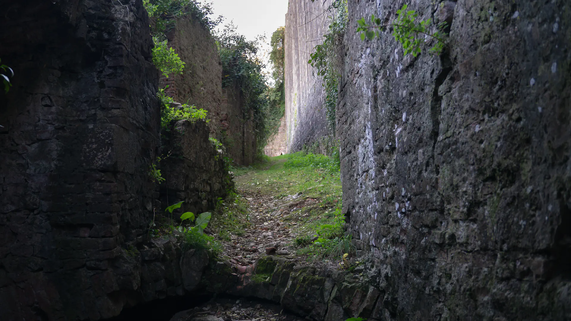 Rocca di San Paolino Private Tour: Medieval History & Laurel Forest