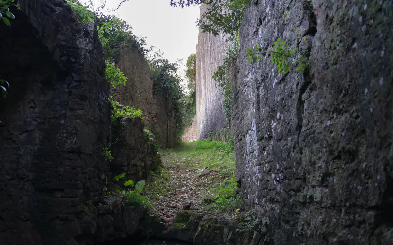 Rocca di San Paolino Private Tour: Medieval History & Laurel Forest