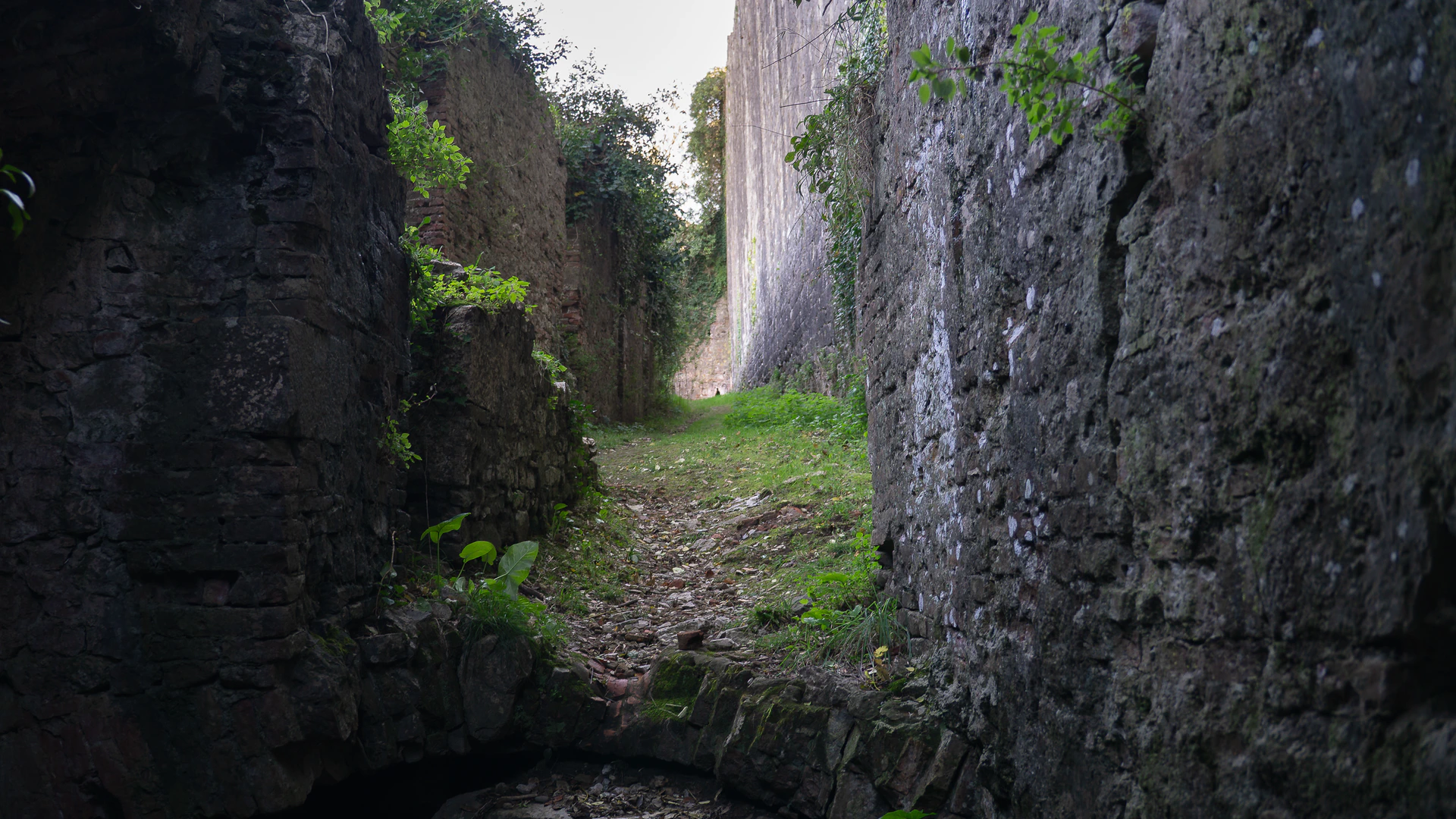 Rocca di San Paolino Private Tour: Medieval History & Laurel Forest