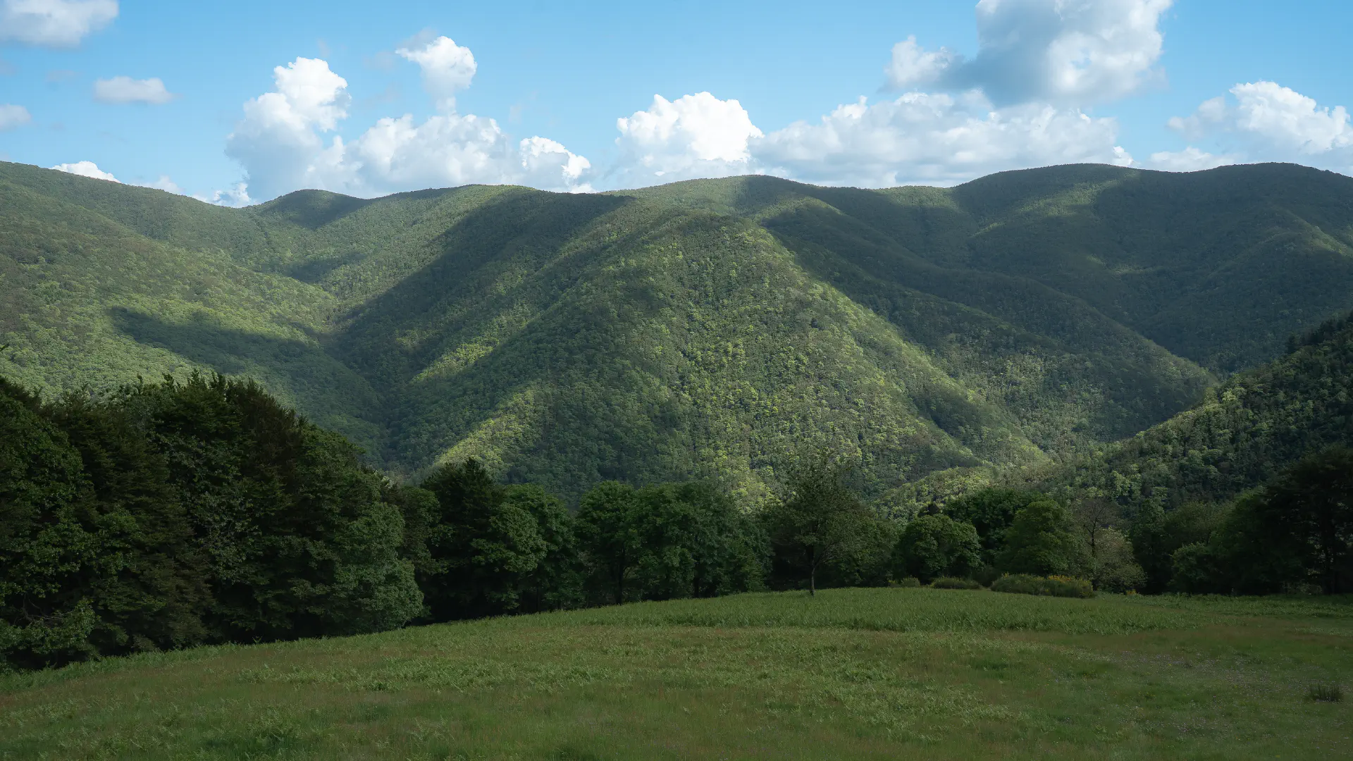 Acquerino-Cantagallo Private Tour - Ancient Forest Hike