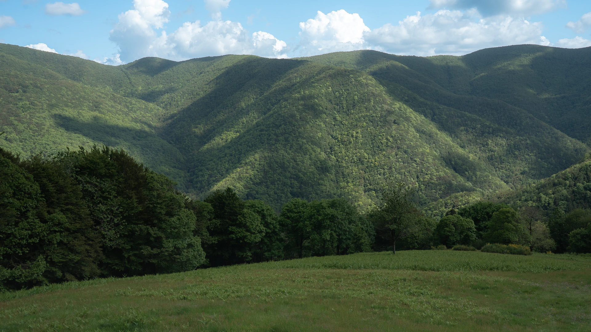 Acquerino-Cantagallo Private Tour - Ancient Forest Hike