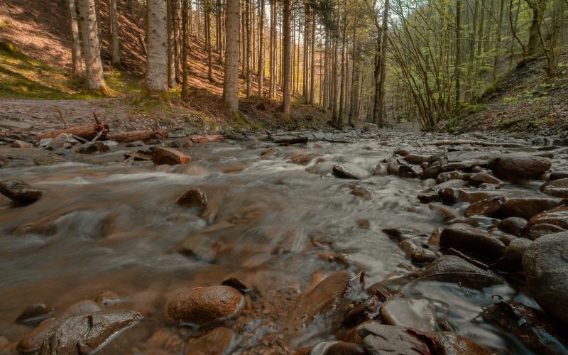 Hike in Riserva Biogenetica Acquerino
