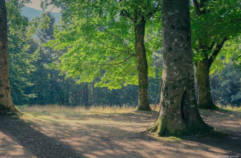 riserva biogenetica acquerino