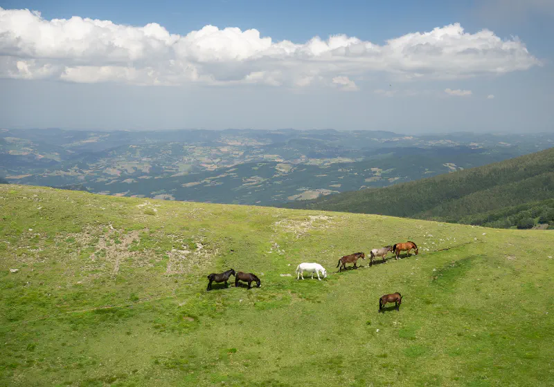 Scaffaiolo Lake Private Tour: High Ridges & Refuge Life