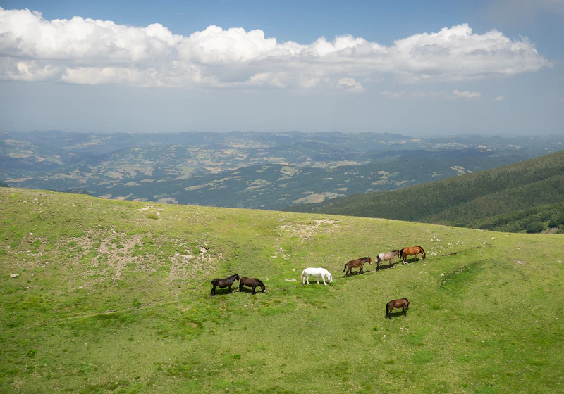 Scaffaiolo Lake Private Tour: High Ridges & Refuge Life