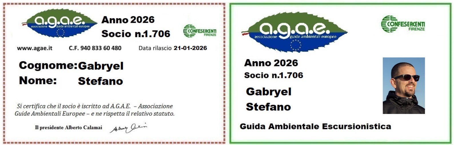 Stefano AGAE Official Card