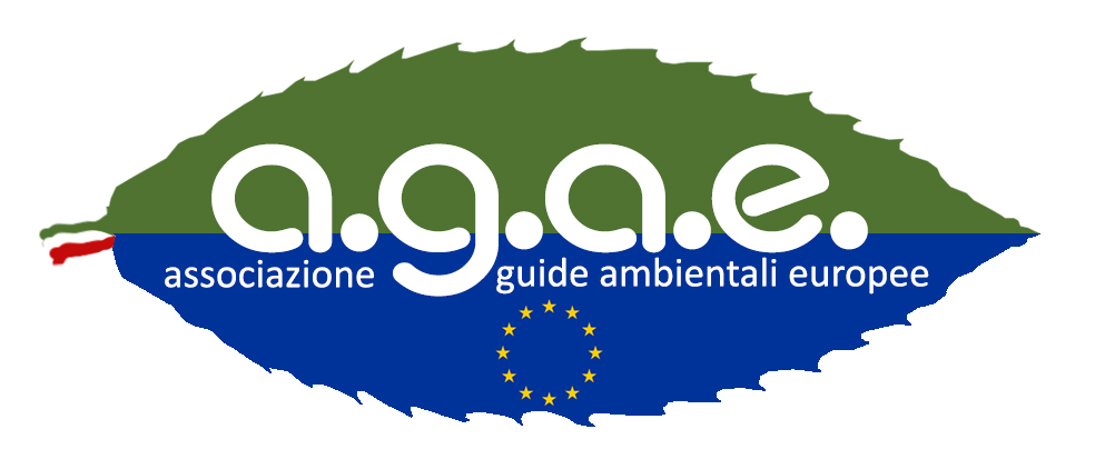 AGAE Logo