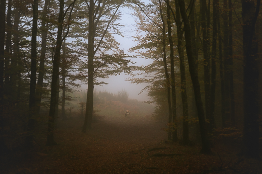 Nature Preserve Acquerino Cantagallo, Apennine Mountains