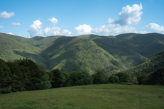 Nature Preserve Acquerino Cantagallo, Apennine Mountains